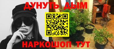 ГАЛЛЮЦИНОГЕННЫЕ ГРИБЫ Кулебаки